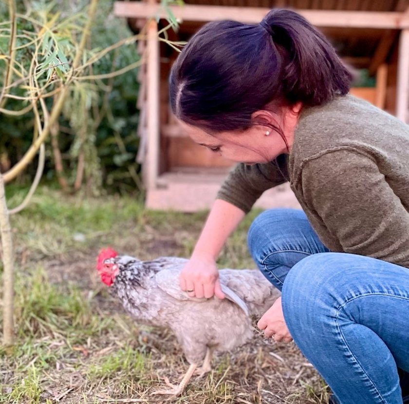Tierärztin untersucht Huhn